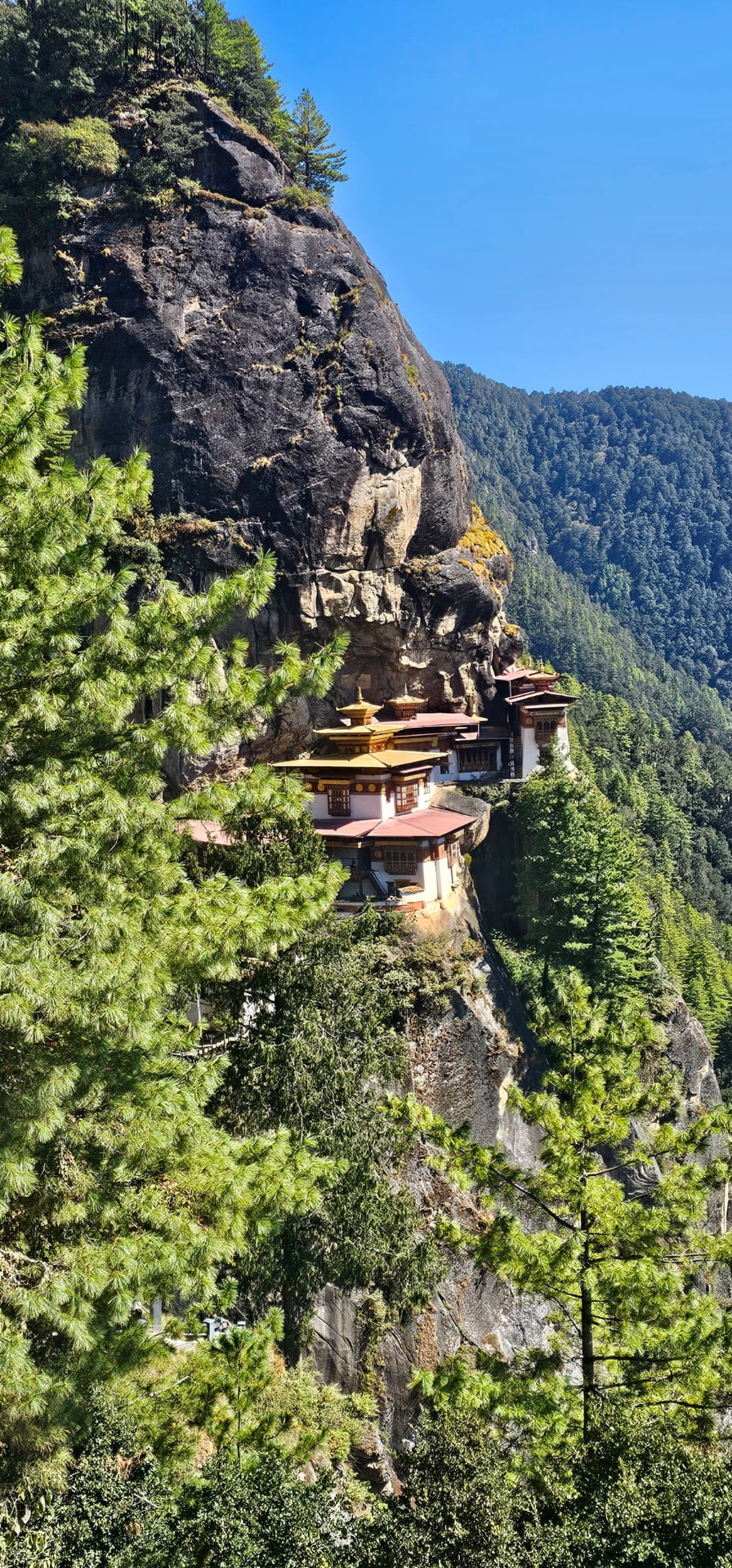 Tiger's Nest Monastery perched on a steep forested cliff in bright daylight