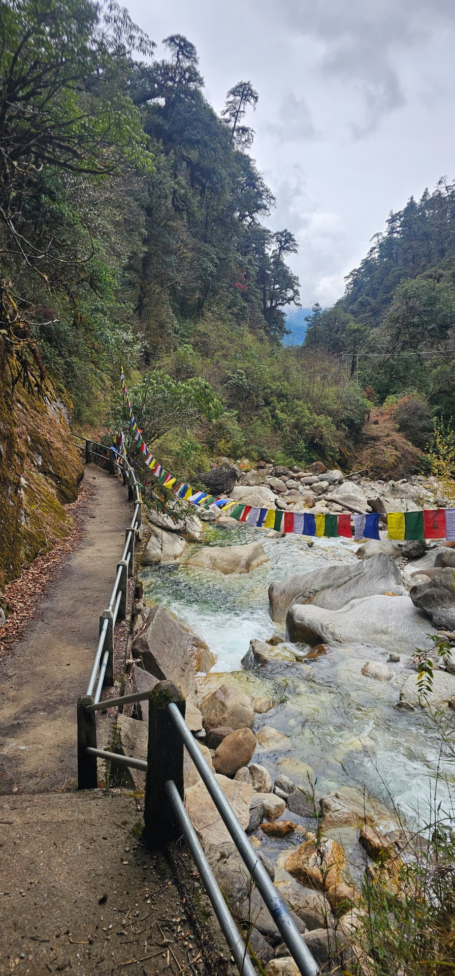 A narrow forest trail beside a rocky river, with colourful prayer flags stretched across the water